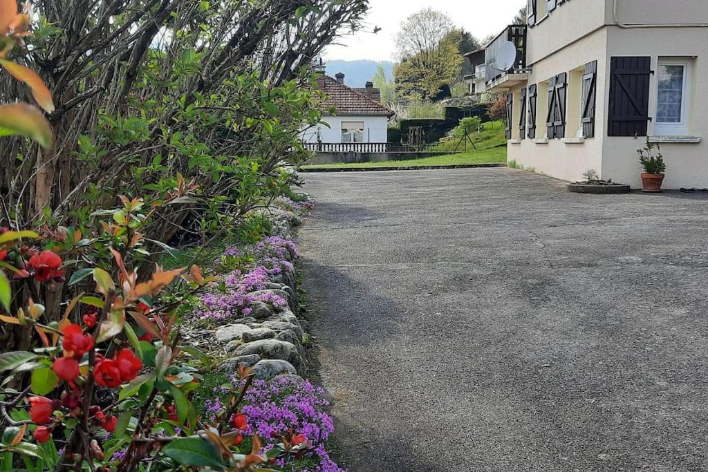 Plain-Pied Proche Base De Loisirs Et Voie Verte Saulxures-sur-Moselotte Exterior photo