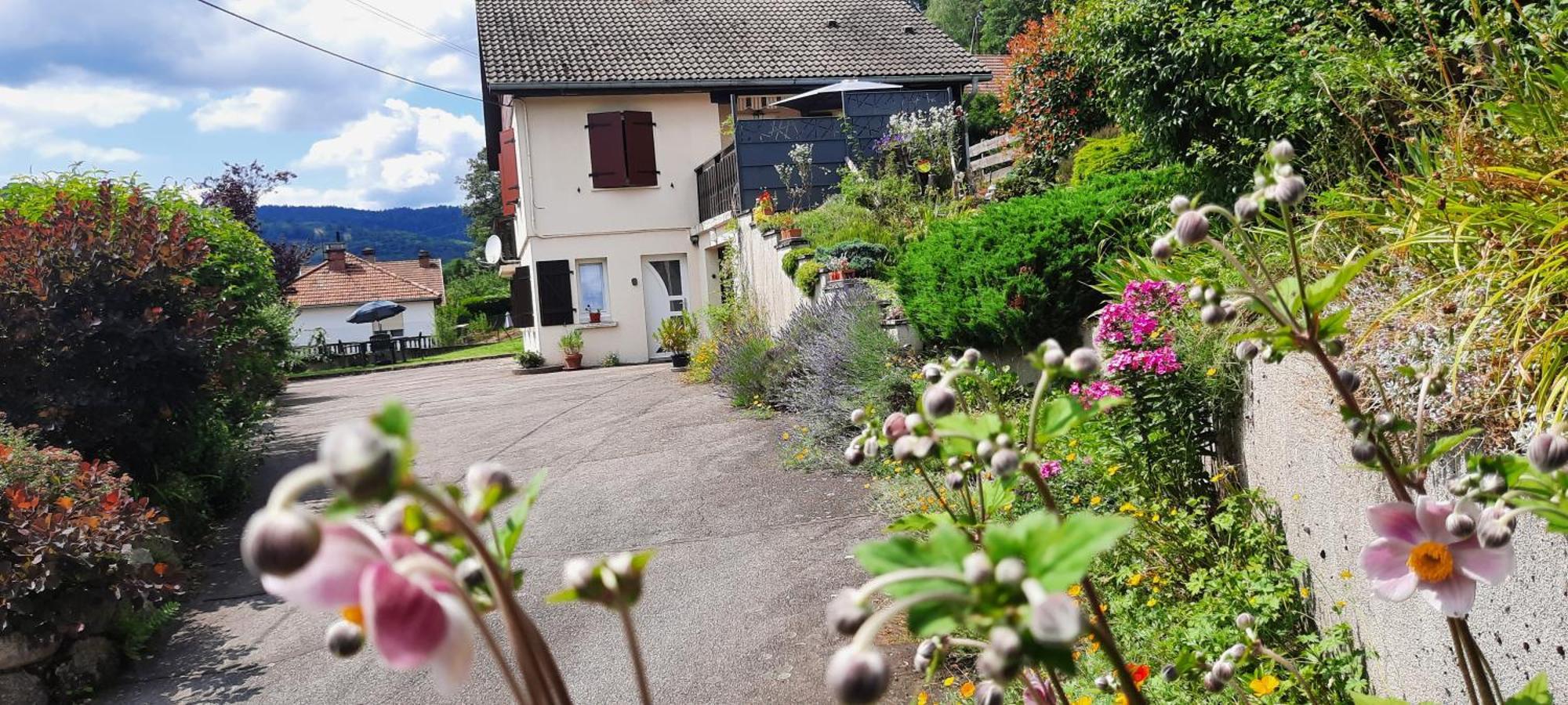 Plain-Pied Proche Base De Loisirs Et Voie Verte Saulxures-sur-Moselotte Exterior photo